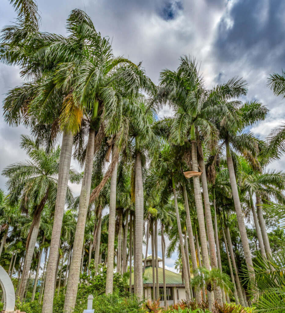 Neal Signature Homes Neal Signature Homes Sponsors Palma Sola Botanical Park 2024 Garden Party Gala Dinner